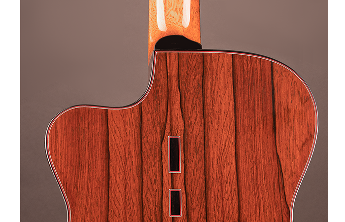 fine guitar fingerstyle guitar